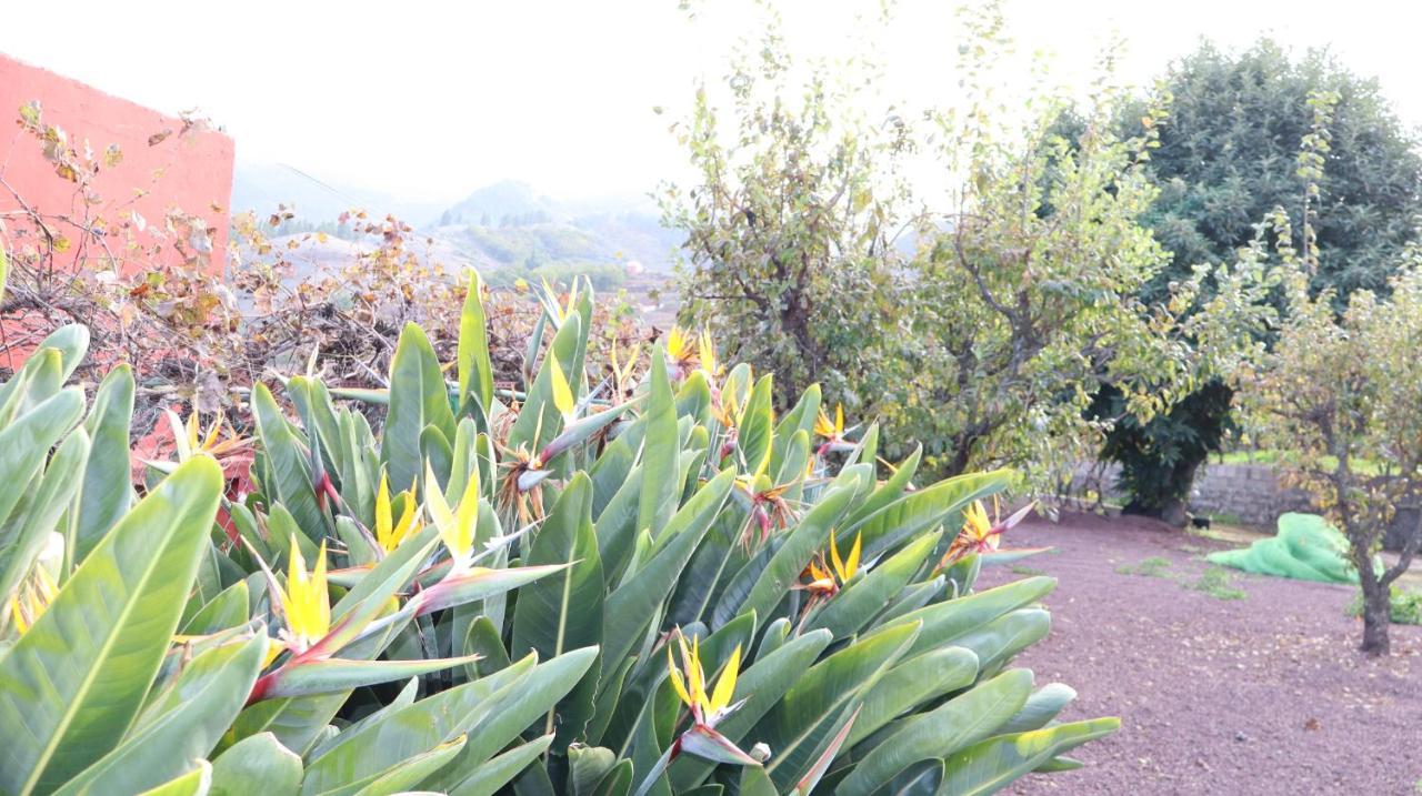 Casa Rural En San Mateo Las Palmas de Gran Canárias Exterior foto
