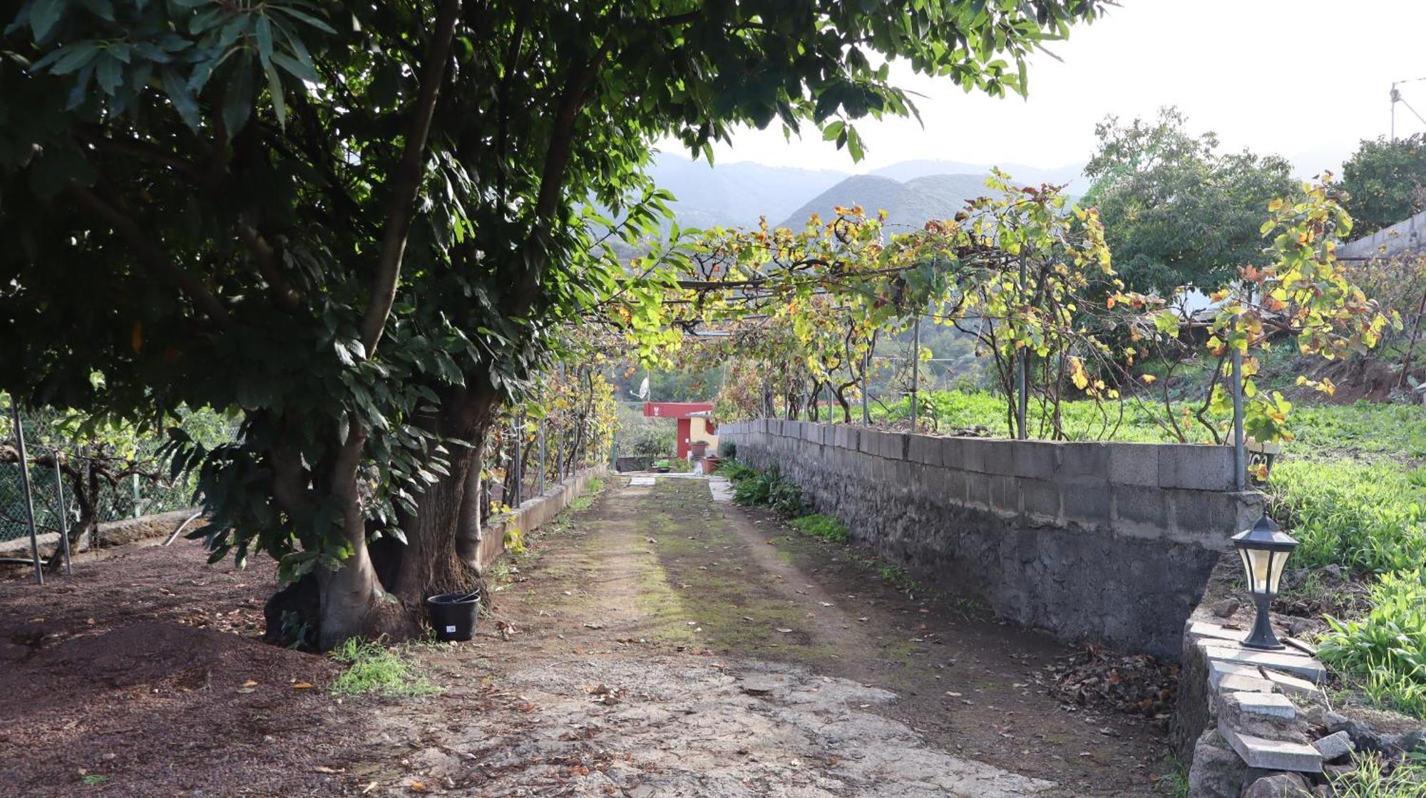 Casa Rural En San Mateo Las Palmas de Gran Canárias Exterior foto